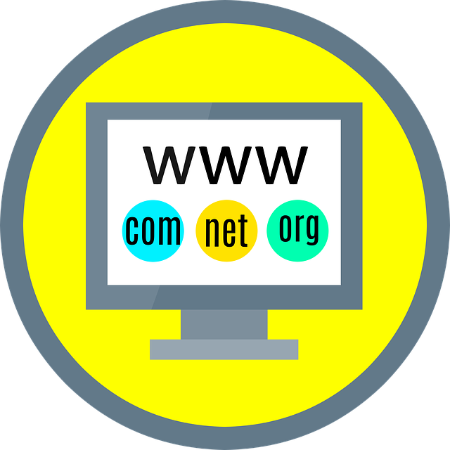 Cómo Crear un Dominio para una Página Web