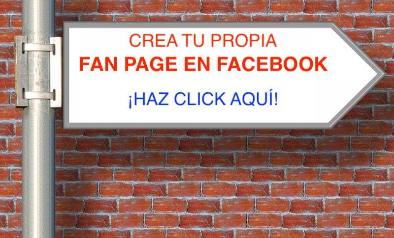 FAN PAGE DE FACEBOOK